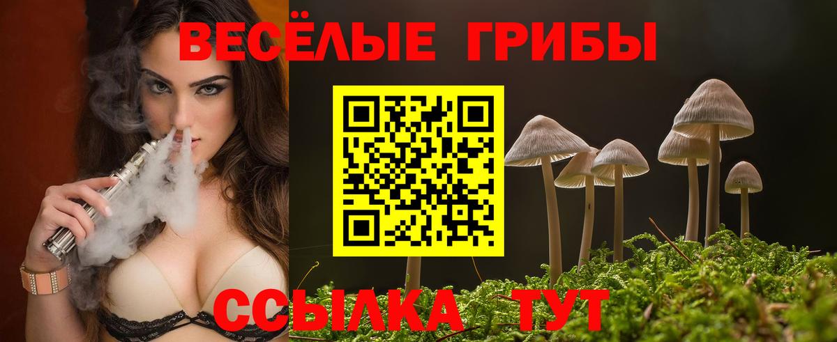 Тында  где купить наркоту  Вход с VPN  Галлюциногенные грибы MAGIC MUSHROOMS  Галлюциногенные грибы Magic Shrooms 