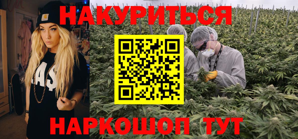 Каннабис планчик Тында